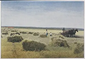 Historical Farm Equipment Prints: Reaping, Canada