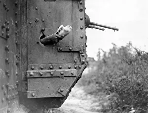 Releasing carrier pigeon from tank, France, WW1 Releasing carrier pigeon from tank, France, WW1