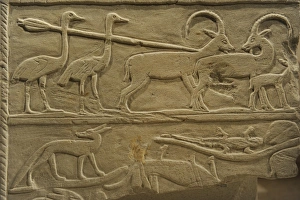 Relief depicting a hunting scene with ostrichs and ibexes. E Relief depicting a hunting scene with ostrichs and ibexes. E