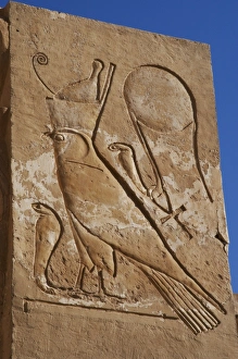 Relief with an inscription in hieroglyphics. Deir el-Bahari Relief with an inscription in hieroglyphics. Deir el-Bahari