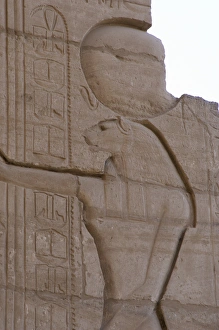 Reliev depicting the goddess Tefnut. Ramesseum. Egypt Reliev depicting the goddess Tefnut. Ramesseum. Egypt