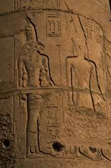 Rellief depicting goddess Sekhmet or Sekhmet, head of a lion Rellief depicting goddess Sekhmet or Sekhmet, head of a lion