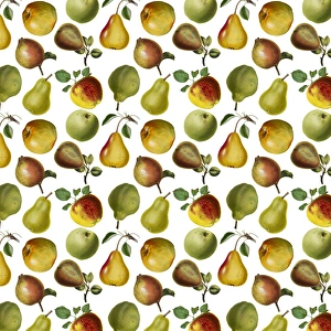 Repeating Pattern - Apples and Pears Repeating Pattern - Apples and Pears