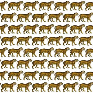 Repeating Pattern - Tigers - white background Repeating Pattern - Tigers - white background