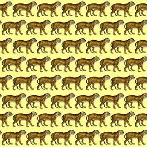 Repeating Pattern - Tigers - yellow background Repeating Pattern - Tigers - yellow background