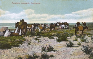 Resting caravan - Casablanca, Morocco Resting caravan - Casablanca, Morocco