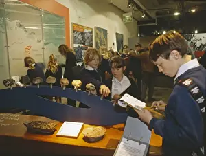 Natural History Museum Exhibits Prints: Restless Surface