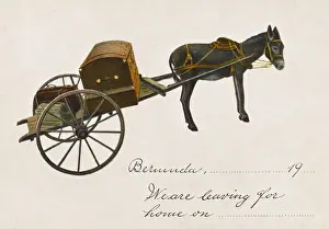 Print of Returning Home Postcard, Bermuda Holiday Return