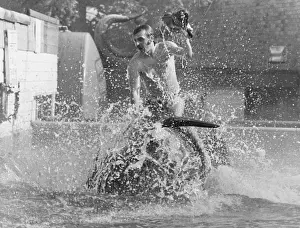 Riding a Dolphin Print, 1960s