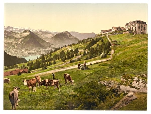 Rigi Scheidegg, the Hotel, Rigi, Switzerland Rigi Scheidegg, the Hotel, Rigi, Switzerland