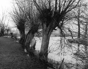 English River Landscapes Prints: River Confluence