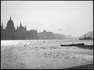 Danube River Views Prints: The River Danube