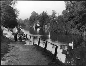 Hertfordshire Countryside Prints: The River Lea