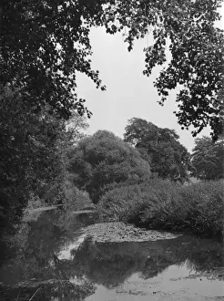 Rural England 1930s Prints: The River Mole
