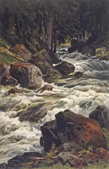 Austrian River Scenery Prints: River & Moss