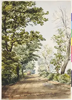 Prints of Road at Barnhill, Comber (1850). Moore, James 1819 - 1883. Date: 1850 James Moore Prints: James Moore Print: Road at Barnhill, Comber (1850)