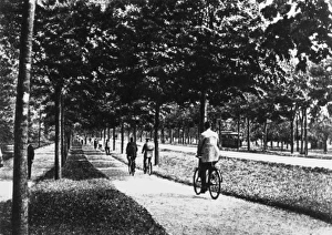 Road reserved for use of cyclists, Germany Road reserved for use of cyclists, Germany