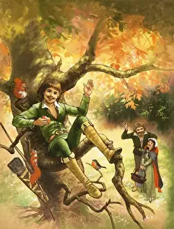 Robin Hood Illustration Prints: Robin Hood resting in a tree