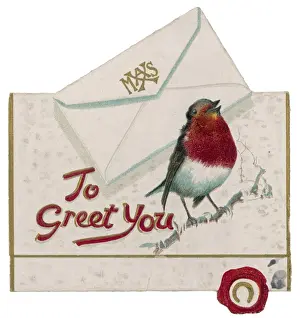 Robins Greeting Print on Card with Envelope