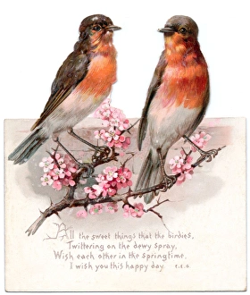 Two robins on a reversible Christmas card Two robins on a reversible Christmas card
