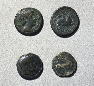 Roman coin. Asses. Bronze. 1st century BC. Mint of Iltirda Roman coin. Asses. Bronze. 1st century BC. Mint of Iltirda