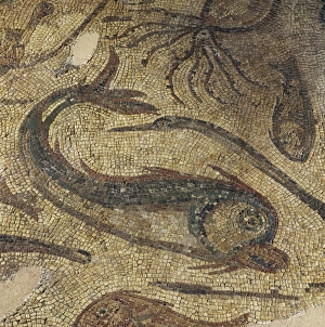 Roman mosaic. Fish and octopus. Spain Roman mosaic. Fish and octopus. Spain