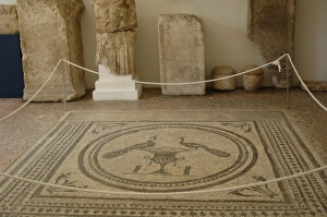Roman mosaic. Pula. Croatia Roman mosaic. Pula. Croatia