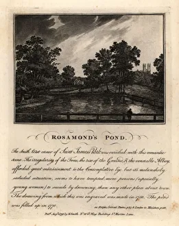 Rosamond's Pond, St. James Park, circa 1758 Rosamond's Pond, St. James Park, circa 1758