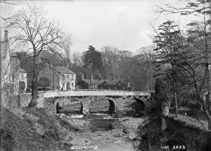 Ireland Prints: Early 20th Century Rostrevor Print