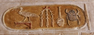 Royal cartridge of Queen Hatshepsut. Temple of Hatshepsut. D Royal cartridge of Queen Hatshepsut. Temple of Hatshepsut. D