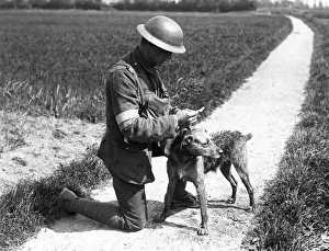 Royal Engineer with messenger dog, France, WW1 Royal Engineer with messenger dog, France, WW1