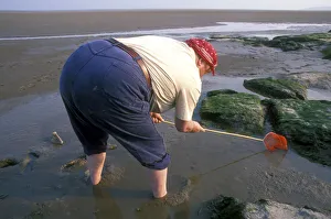 RWF Willie Poole - shrimping RWF Willie Poole - shrimping