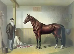 American Horse Racing Prints: Rysdyks Hambletonian