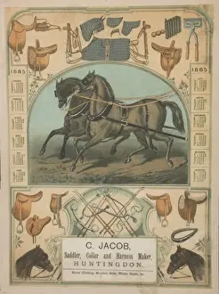 C.Jacobs Saddler and Harness Maker Print