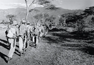 Safari by A Company, 4th Bn Kings African Rifles Safari by A Company, 4th Bn Kings African Rifles