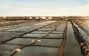 Salt pans, Chatelaillon-Plage near La Rochelle Salt pans, Chatelaillon-Plage near La Rochelle