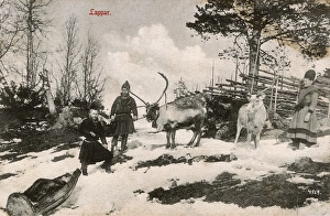 Sami People - Norway - with Reindeer and small wooden sled Sami People - Norway - with Reindeer and small wooden sled