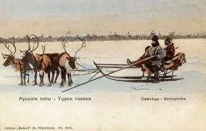Samoyed People with their reindeer sled Samoyed People with their reindeer sled