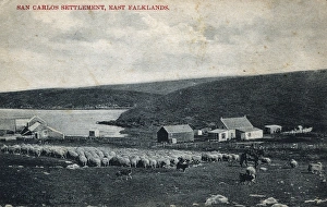 San Carlos Settlement, East Falklands San Carlos Settlement, East Falklands