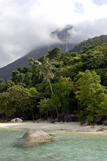 Sand beach and rainforest on slopes of volcanic Sand beach and rainforest on slopes of volcanic