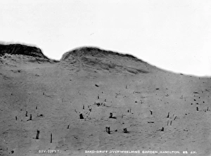 Sand drift overwhelming a garden, Burmuda 1873 Sand drift overwhelming a garden, Burmuda 1873