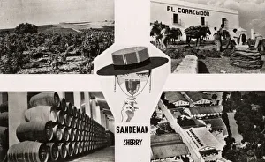Sandeman postcard, Jerez de la Frontera, Cadiz, Spain Sandeman postcard, Jerez de la Frontera, Cadiz, Spain