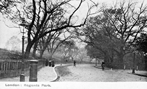 Scene on the edge of Regents Park, London Scene on the edge of Regents Park, London
