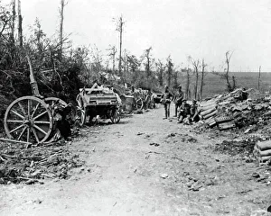 Scene near Mametz Wood, Western Front, WW1 Scene near Mametz Wood, Western Front, WW1