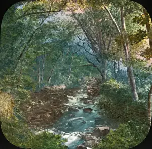 Boswell Collection Prints Online Prints: Scenery of Devon - Ivybridge - View on the River Erme