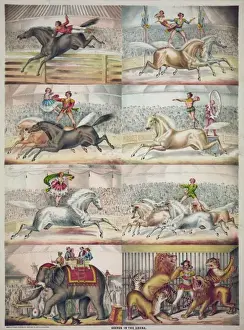 Horse Riding Pictures Prints: Scenes in the arena