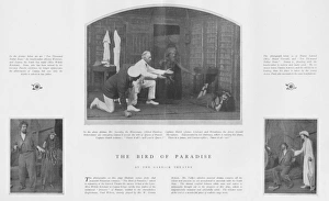 Scenes from the Hawaiian romance The Bird of Paradise, Garri Scenes from the Hawaiian romance The Bird of Paradise, Garri