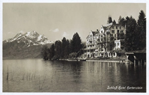 Schloss Hotel Hertenstein, Lake Lucerne, Switzerland Schloss Hotel Hertenstein, Lake Lucerne, Switzerland