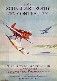 Macchi 52 Schneider Trophy Print