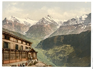 Schynige Platte, Wetterhorn and Schreckhorn, Bernese Oberlan Schynige Platte, Wetterhorn and Schreckhorn, Bernese Oberlan